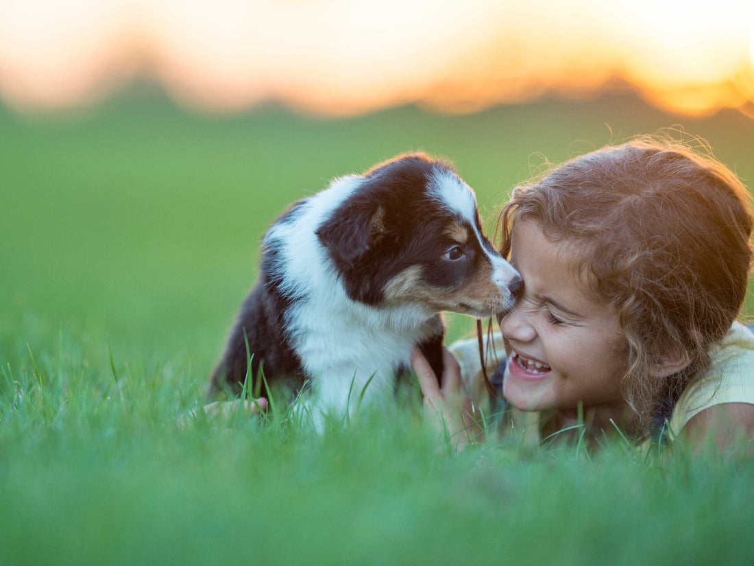 un perro y una niña