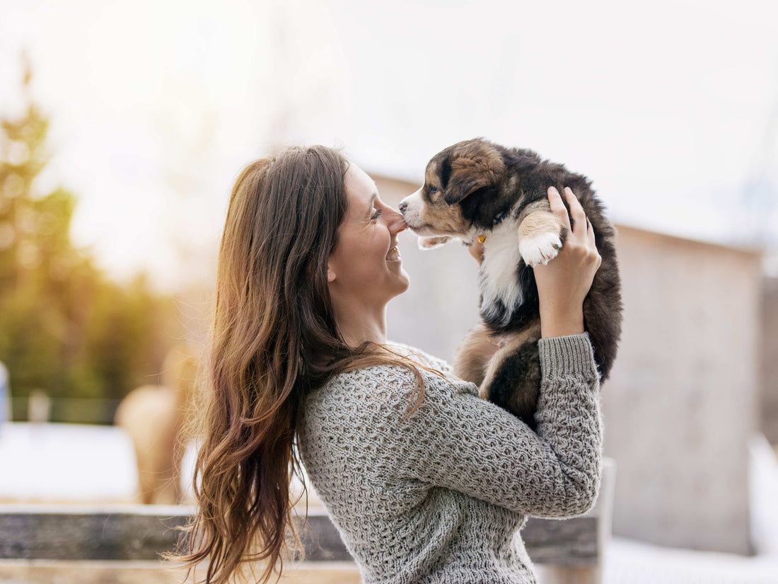 un cachorro con una nueva familia