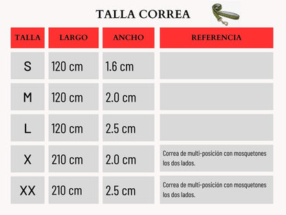 Liquidación KIKUNO Correa, Estado Perfecto